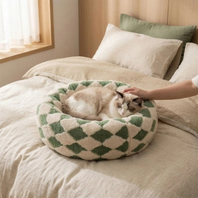 chat lové dans un ses couffins pour chats maîtresse le caressant