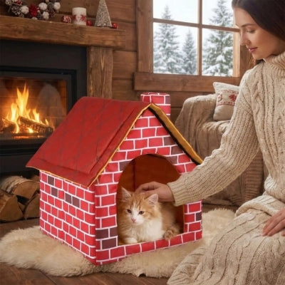 chat lové maison pour chaton maîtresse le caressant