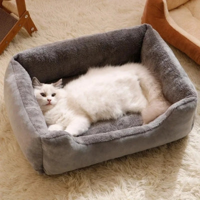 chat lové panier coussin chat
