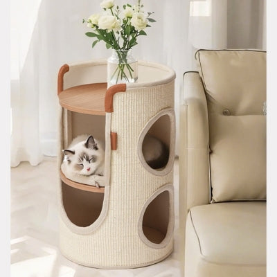 chat maison beige dans salon