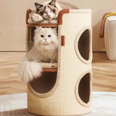 chat maison beige deux chats relaxant dessus