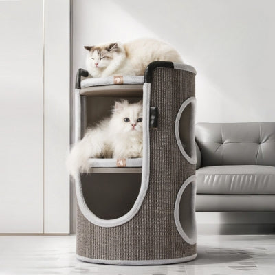 chat maison  grise deux chats relaxant dessus