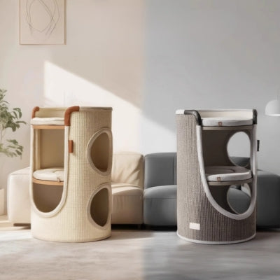 chat maison grise et beige dans salon