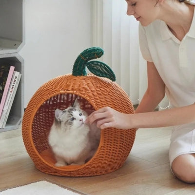 chat mange gâterie panier en rotin pour chat