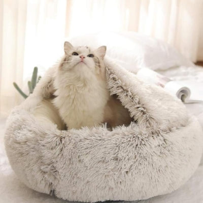 chat niche chat observant territoire dedans