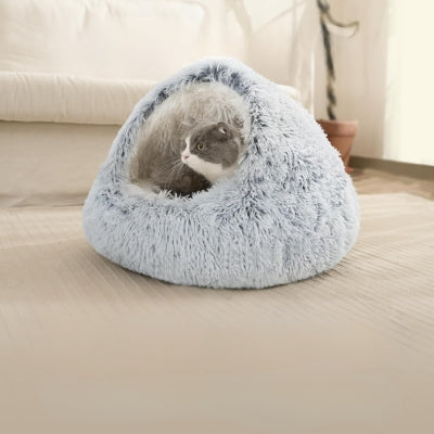 chat niche chaton en observation son territoire dedans