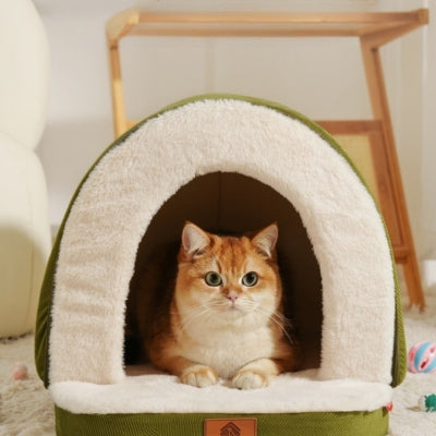 chat niche chaton relaxant dedans