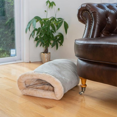 chat niche vert sauge dans salon