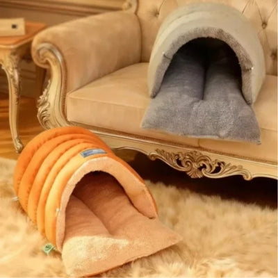 chat niche grise et orange dans salon