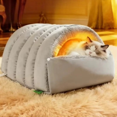 chat niche ragdoll dormant paisiblement dedans