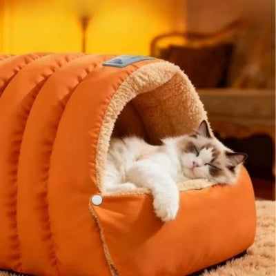 chat niche ragdoll dormant paisiblement dedans