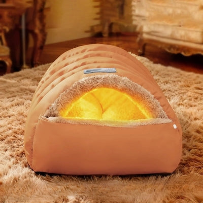 chat niche orange sur tapis