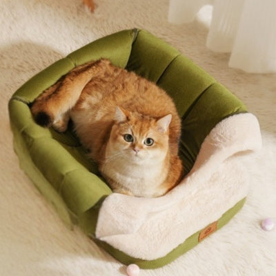 chat niche ouverte chaton detendu dessus