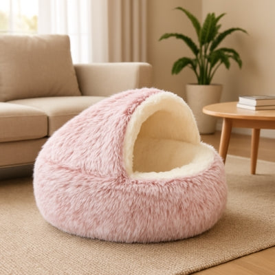 chat niche rose dans salon