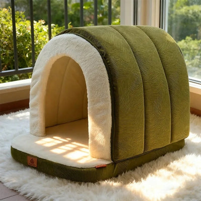 chat niche vert olive sur tapis blanc