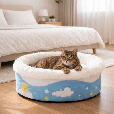 chat observant dans couffin pour chat chambre à coucher