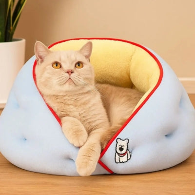 chat observant dans chat niche