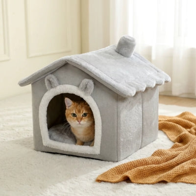 chat observant dans niche pour chat interieur grise