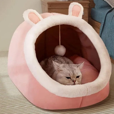 chat observe dans niche pour chat