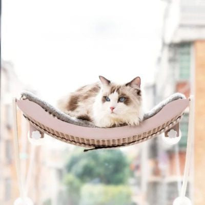chat observant sur hamac chat suspendu