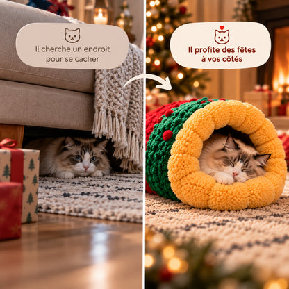 chat panier caché sous canapé puis endormi dedans près sapin
