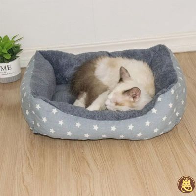 chat panier dreamynest gris motif étoiles ragdoll en boule dedans