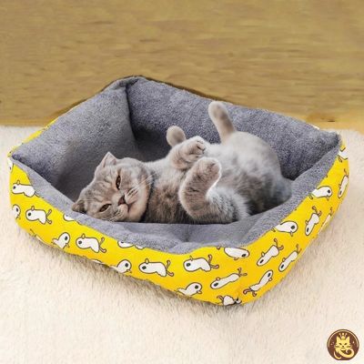 chat panier dreamynest jaune chaton allongé sur son dos dedans