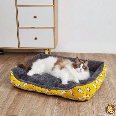 chat panier dreamynest jaune ragdoll relaxant tranquillement dedans