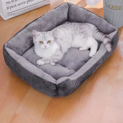 chat panier gris foncé chat detendu paisiblement