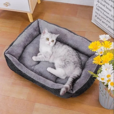 chat panier gris foncé chat en relaxation 