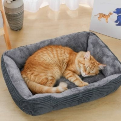 chat panier gris foncé chat endormi paisiblement