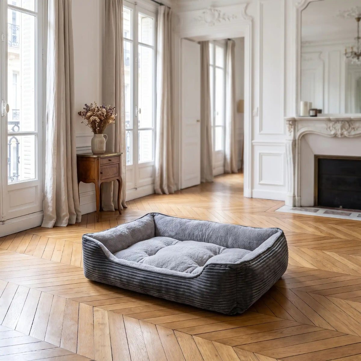 chat panier gris foncé salon haussmannien parquet moulures