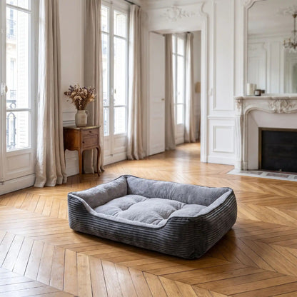 chat panier gris foncé salon haussmannien parquet moulures