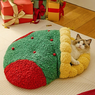 chat panier ragdoll en detente paisible