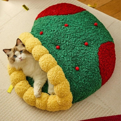 chat panier ragdoll installé confortablement dedans