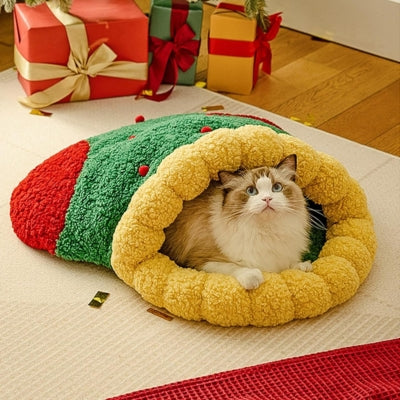 chat panier ragdoll relaxant confortablement dedans