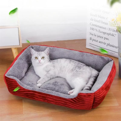 chat panier rouge vin chat allongé confortabalement dessus