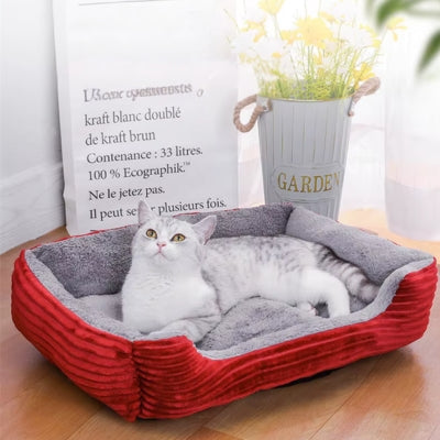 chat panier rouge vin chat en relaxation paisible