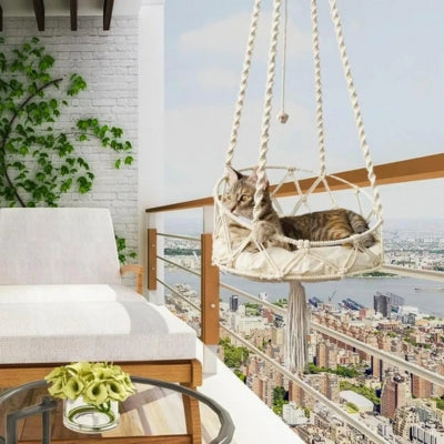 chat profitant soleil depuis hamac chat suspendu crochet dans balcon