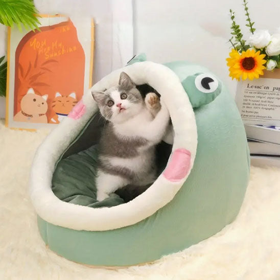 chat observant niche pour chat