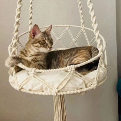 chat relaxant confortablement sur hamac chat suspendu