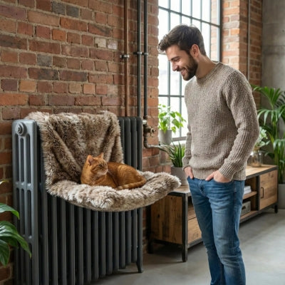 chat relaxant dans hamac chat radiateur sous regards maître content