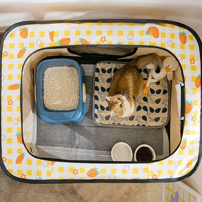 chat relaxant dans maison chats vue de haut