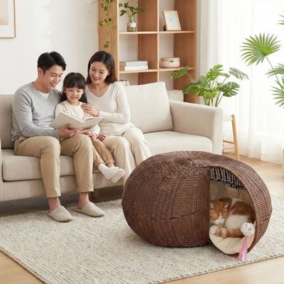 chat relaxant dans panier chat en osier famille lisant livre
