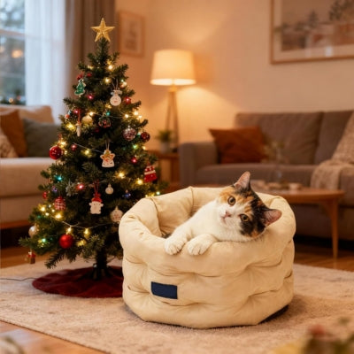 chat relaxant dans son cocon pour chat