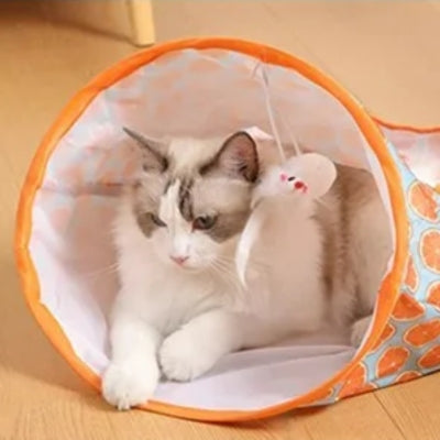 chat relaxant dans son tunnel chat orange