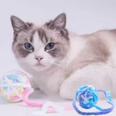 chat relaxant devant jouet chat aprés séance jeu intense