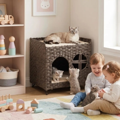 chat relaxant perchoir niche chat osier enfants jouent avec chatons