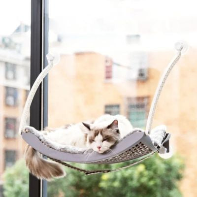 chat relaxant sur hamac chat suspendu gris