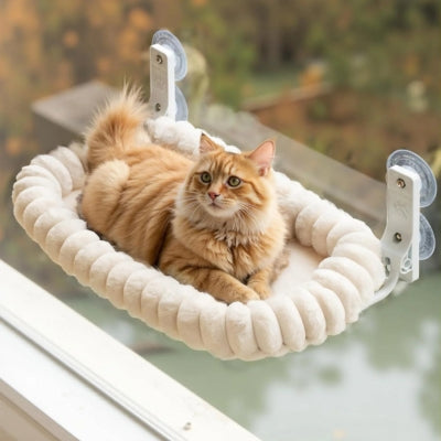 chat relaxant sur hamac chat suspendu